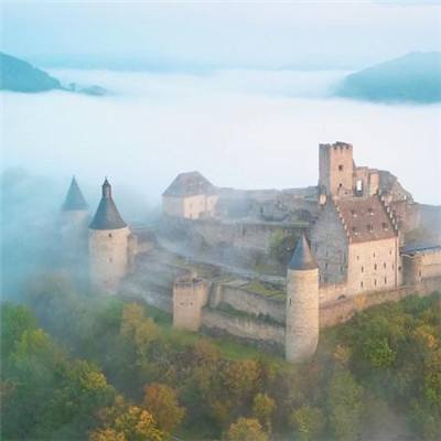 加拿大pc软件平台app下载